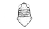 Neuquenina fictor (Rehn, 1943): Fig. 33. female, head and pronotum, dorsal view. (Otu).