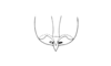 Moluchacris nigripes Cigliano, 1989: Fig. 89. female subgenital plate, dorsal view. (Otu).