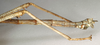 CollectionObject 1559881; NMW 756, cc8e3fc3-e01f-458a-a694-17cf8674a8cc: copyright NMW, Vienna. male: end of abdomen of synonym Monandroptera olivacea (lectotype). (CollectionObject).