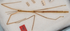 CollectionObject 1560741; 664ade49-f05f-4b0f-a5f8-289b7aaa2e39: copyright USNM, Washington. (CollectionObject).