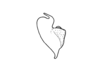 Eurotettix femoratus Bruner, 1906: Fig. 8E. epiphallus, lateral view. (Otu).