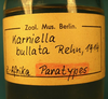 CollectionObject 1502480; ac5cb28f-0a4d-4df9-b5ce-51d0a0014c0e: specimen vial (paratype). (CollectionObject).