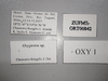 CollectionObject 2189013; ZUFMS ORT00842, 7b4558c4-be7c-40e7-b32a-f4bdaaae6953: Specimen label. (CollectionObject).
