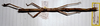 CollectionObject 1559420; a8446f2d-c54b-43b4-a18e-fa568915cbf2: copyright MHNG Geneva. female of Carausius cultratolobatus (holotype). (CollectionObject).