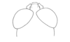Monneacris fascipes Amédégnato & Descamps, 1979: Fig. 60. male head, dorsal view (from Tabatinga). (Otu).