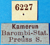 CollectionObject 1502890; 2d342390-1f0a-4e1f-b683-1e96b68525dd: labels. (CollectionObject).