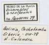CollectionObject 1565771; 23279b4b-3c56-4fa3-ab84-11ef9ba45df2: labels. (CollectionObject).