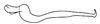 Stylus on Coarctana oricula Domahovski & Cavichioli, 2023: Male holotype [DZUP]: style, dorsal view. (Observation).