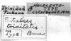 CollectionObject 1521515; 418f1646-2ade-4602-be99-cc36d687f371: Image Carbonell, C.S. labels (lectotype). (CollectionObject).