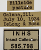 Other on Athysanella (Amphipyga) longicauda Beirne, 1955: Labels - Immature. Labels for the immature specimen. (Observation).