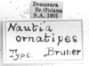 CollectionObject 1521481; 92fb8050-c3b7-4b9d-b41d-a9f9bbf27bb4: Image Carbonell, C.S. labels (holotype). (CollectionObject).