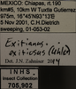 Other: !! display not done !! on Exitianus exitiosus (Uhler, 1880): Labels. Labels for the dorsal, lateral and face images. (Observation).