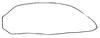 Subgenital plate, ventral view on Carapona eruva (DeLong & Freytag, 1975): Male: subgenital plate, ventral view. (Observation).