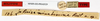 CollectionObject 1557511; 31febec1-04d1-467a-bd5c-8e2d24e9bdba: copyright MNHN, Paris. female, data labels (holotype). (CollectionObject).