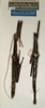 CollectionObject 1560696; NMW 1051, 5debb61e-92a3-436e-a391-56afa1b19174: copyright NMW, Vienna. female (syntypes). (CollectionObject).