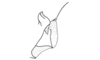 Dendrophilacris bora Descamps, 1980: Fig. 138. end of phallic complex, lateral view. (Otu).