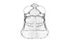 Hazelacris nigrovittatus Ronderos, 1981: Fig. 19 (after allotype). female, head and pronotum, dorsal view. (Otu).