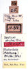 CollectionObject 1532127; 51f6b9af-4d04-4f2a-8928-793405d29ed4: labels (holotype). (CollectionObject).