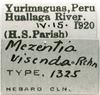CollectionObject 1523828; e4e0a5aa-a5dd-41a4-a5ab-f29df6829051: labels (holotype). (CollectionObject).