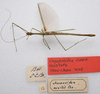 CollectionObject 1584632; 009aada2-dfd6-41dd-93a3-44be6e23e54a: (CollectionObject).