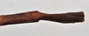 CollectionObject 1561672; NTUC 740, ef545296-ecab-4cdd-9e44-941d03968d60: copyright NTUC. female: end of abdomen, dorsal view (holotype). (CollectionObject).