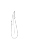 Ceuthophilus (Geotettix) guttulosus thomasi Hubbell, 1936: Fig. 328. male, subdistal cephalic spur of hind tibia of. (Otu).