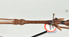 CollectionObject 1598208; QM T246825, 350e8788-2eba-44c5-89a1-27aaa31c73e3: copyright QM. male: head & thorax, dorsal view (holotype). (CollectionObject).