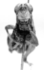 CollectionObject 1524810; d1925f93-6c9d-45a7-8acc-dfe1300529c4: male, frontal view (holotype). (CollectionObject).