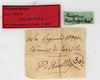 CollectionObject 1561350; 1adf552d-2146-4e4d-a9d2-f1cac6f562a3: copyright MHNG, Geneva. male, data labels (holotype). (CollectionObject).