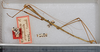 CollectionObject 1558346; 896f6fb8-36cd-4bd4-a32d-5c14742288e1: copyright USNM, Washington. male, lateral view (holotype). (CollectionObject).