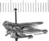 Dichroplus cinereus Bruner, 1900: male, lateral view (syntype?). (Otu).