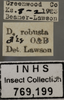 Other: !! display not done !! on Driotura robusta Osborn & Ball, 1898: Labels - Male. Labels for the Male specimen used for the dorsal, lateral and face images. (Observation).
