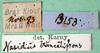 CollectionObject 1501840; 537a93cb-4688-4b90-9967-e02db4d44321: labels. (CollectionObject).