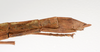 CollectionObject 1562559; 3923069e-3bbd-4f15-8e54-3bc7af5d4b4f: copyright ZMUH, Hamburg. female: end of abdomen, lateral view (syntype). (CollectionObject).