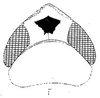 Head: !! display not done !! on Afrosus Linnavuori, 1959: head, dorsally. (Observation).
