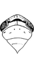 Head on Exitianus indicus (Distant, 1908): head, pronotum and mesonotum; male, holotype. (Observation).
