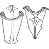 Aedeagus, ventral view: !! display not done !! on Paramesus major Haupt, 1927: Aedeagus, ventral view. (Observation).