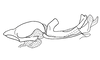Eucosmetacris cingulata (Bolívar, 1881): Fig. 123. endophallus, lateral view. (Otu).