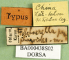 CollectionObject 1501150; f662526a-6333-4b3b-9961-7ac7c9f1aa49: labels (syntype). (CollectionObject).