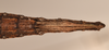 CollectionObject 1560692; 5e9dcdef-0a1d-4b44-afb2-d83916b4a61c: copyright UMO. female: end of abdomen, ventral view (holotype). (CollectionObject).