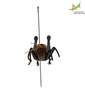 CollectionObject 1849149; Unioeste Cascavel K-101C, 0ba4075c-16bf-43f2-bc70-704ef99f92ee: Male. Frontal view. (CollectionObject).