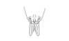 Saltonacris cymae Descamps, 1976: Fig. 297. female abdomen tip, ventral view. (Otu).