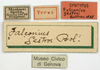 CollectionObject 1506732; d73ec9a0-7554-43c5-9e91-d97063ffd51f: labels (syntype). (CollectionObject).