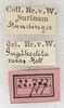 CollectionObject 1567658; NMW 22777, 54a18faa-425b-46d1-b887-42aefd7be621: labels. (CollectionObject).