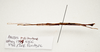 CollectionObject 1595837; 69c9f47b-4b25-4afe-b6ea-ed670bd62ecf: copyright LKCNH Singapore. male, lateral view (paratype). (CollectionObject).;CollectionObject 1595838; d0360f50-72f5-4e29-9303-e290158de26d: copyright LKCNH Singapore. male, lateral view (paratype). (CollectionObject).