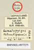 CollectionObject 1518515; d34f4d08-2061-4bc4-be5c-9eef55cd1923: labels (holotype). (CollectionObject).