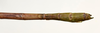 CollectionObject 1584632; 009aada2-dfd6-41dd-93a3-44be6e23e54a: (CollectionObject).