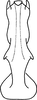 Aedeagus, ventral view on Arboridia (Arboridia) cuihuashana Song & Li, 2013: from Song & Li, 2013a: 237. (Observation).