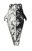 Diotarus verrucifer Stål, 1877: Fig. 20. female pronotum, dorsal view. (Otu).