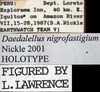 CollectionObject 1533098; 5af860b7-a751-4b62-9012-e584124bd276: labels (holotype). (CollectionObject).